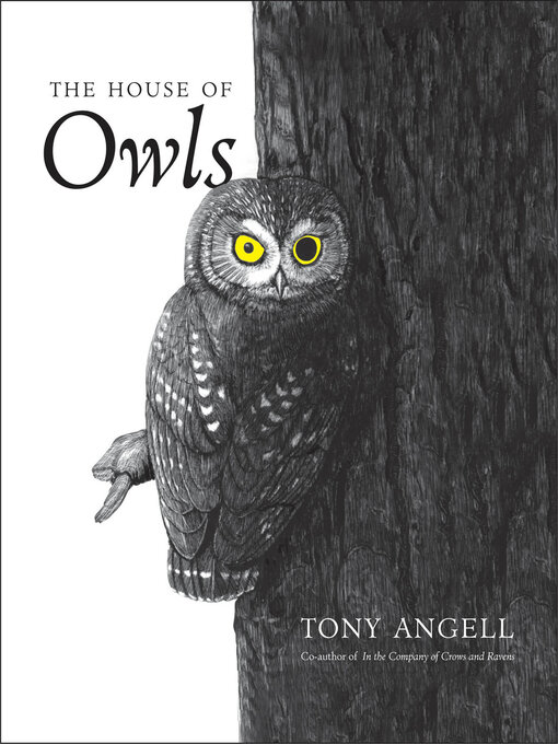 Cover image for The House of Owls